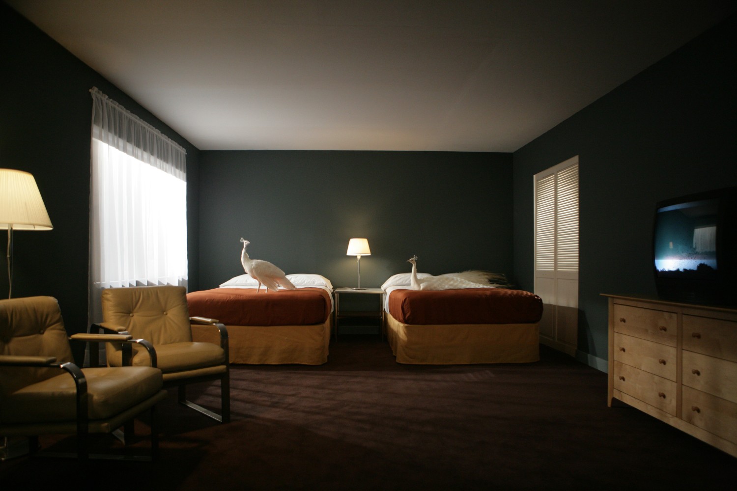 Film still by Doug Aitken, Migration 2008 Video installation; DVD, single channel, linear version Edition of 4 18 min