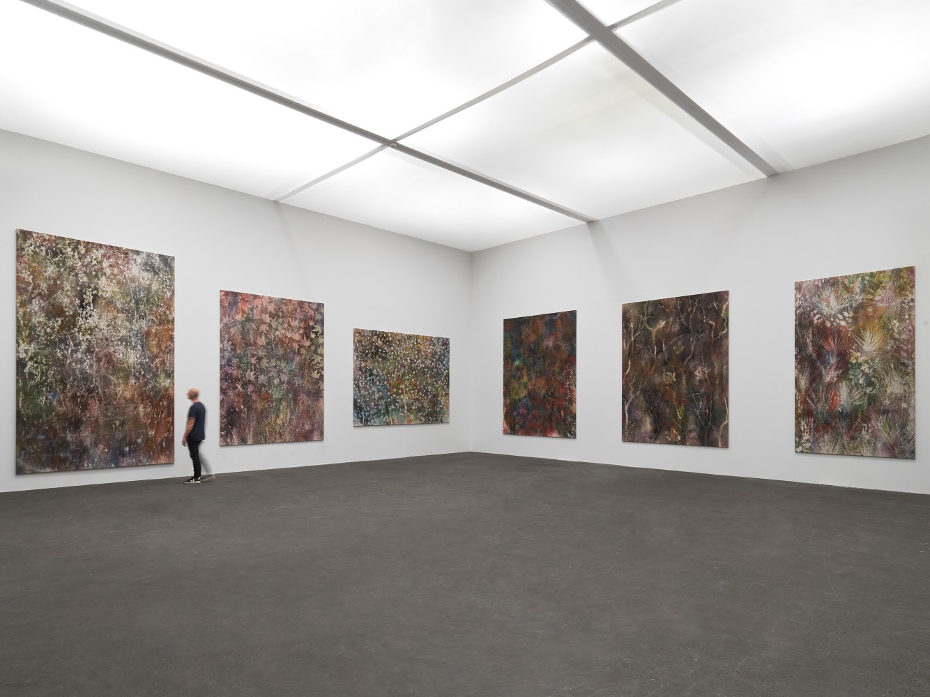 Installation view of paintings by Sam Falls