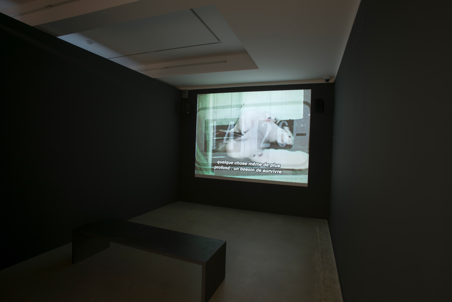 Installation view of works by Walead Beshty