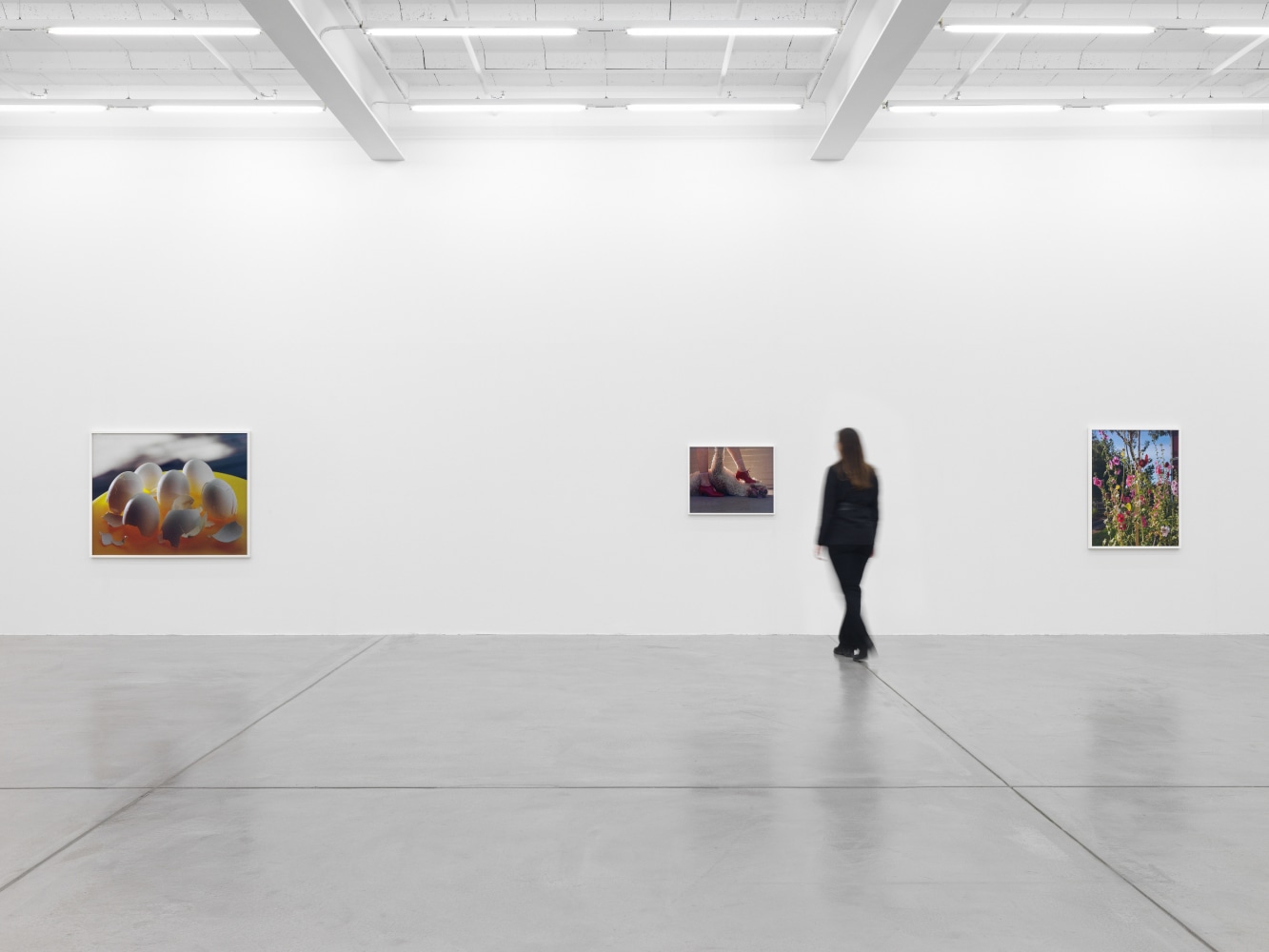 photograph by Torbjørn Rødland