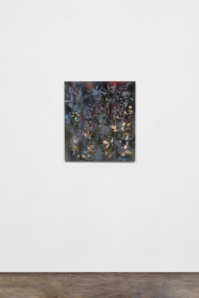 FARM FIELD WALK, 2020