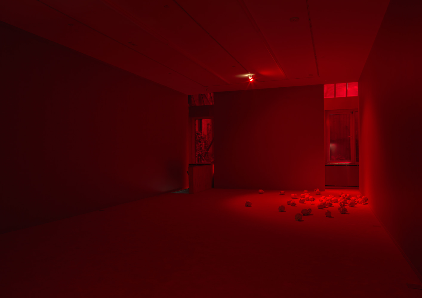 Installation view of Douglas Gordon film and installation exhibition