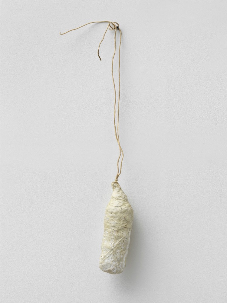 Passstück (Ballschmuck)

Early 1980s

Dispersion, polyester, coated wire

Approx. 30 x 10 x 10 cm / 11 3/4 x 3 7/8 x 3 7/8 in

&amp;copy; Archiv Franz West &amp;copy; Estate Franz West