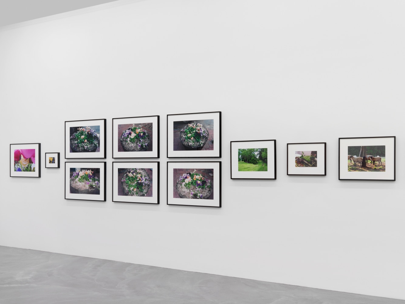 Installation view of Karen Kilimnik photography and installation exhibition