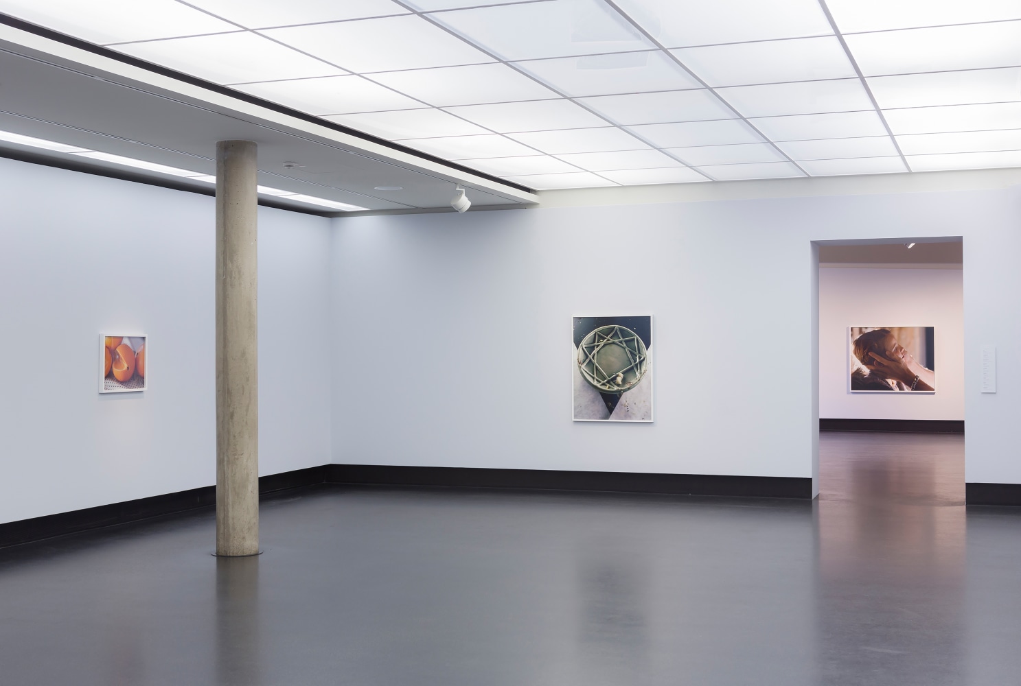 Installation view of photographs by Torbjørn Rødland