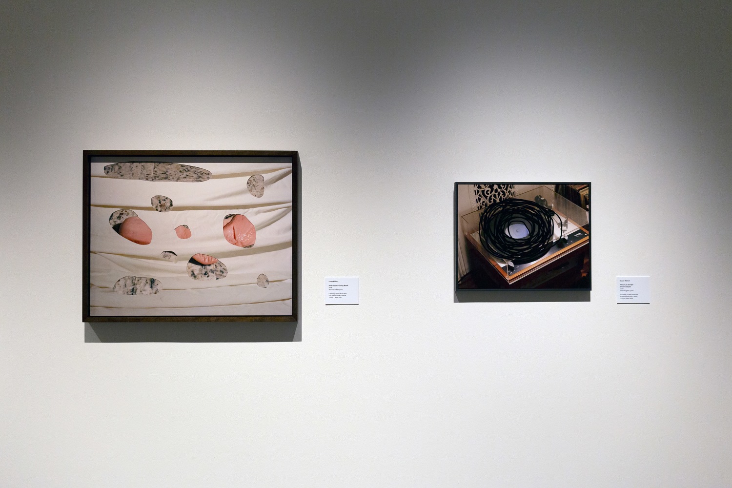 Installation view of Works by Lucas Blalock