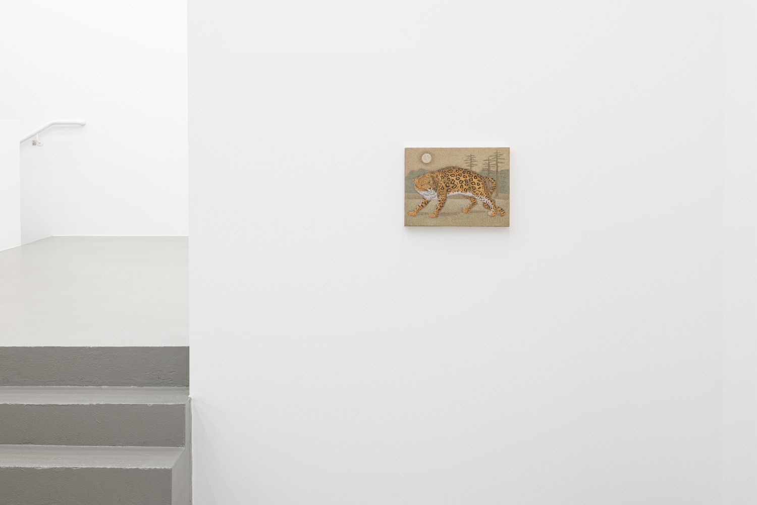 installation view John Dilg