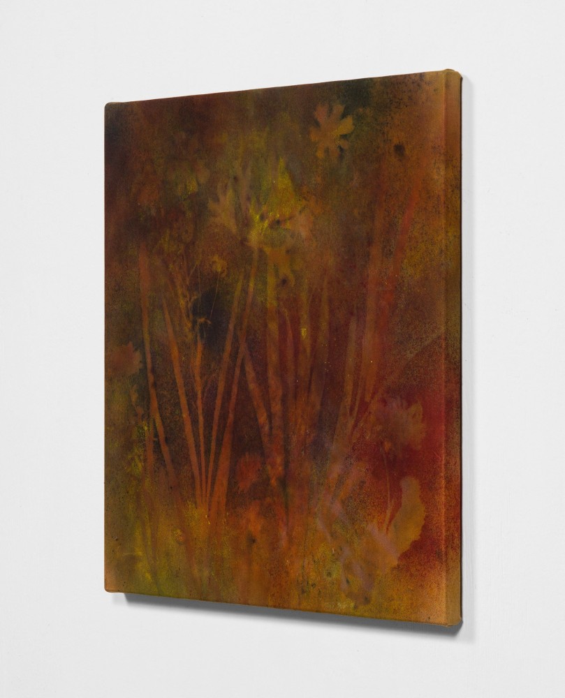 MOUNT TAMALPAIS WINDMILLS,&amp;nbsp;2020, Side view