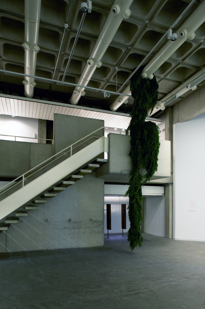 Installation view of works by Trisha Donnelly