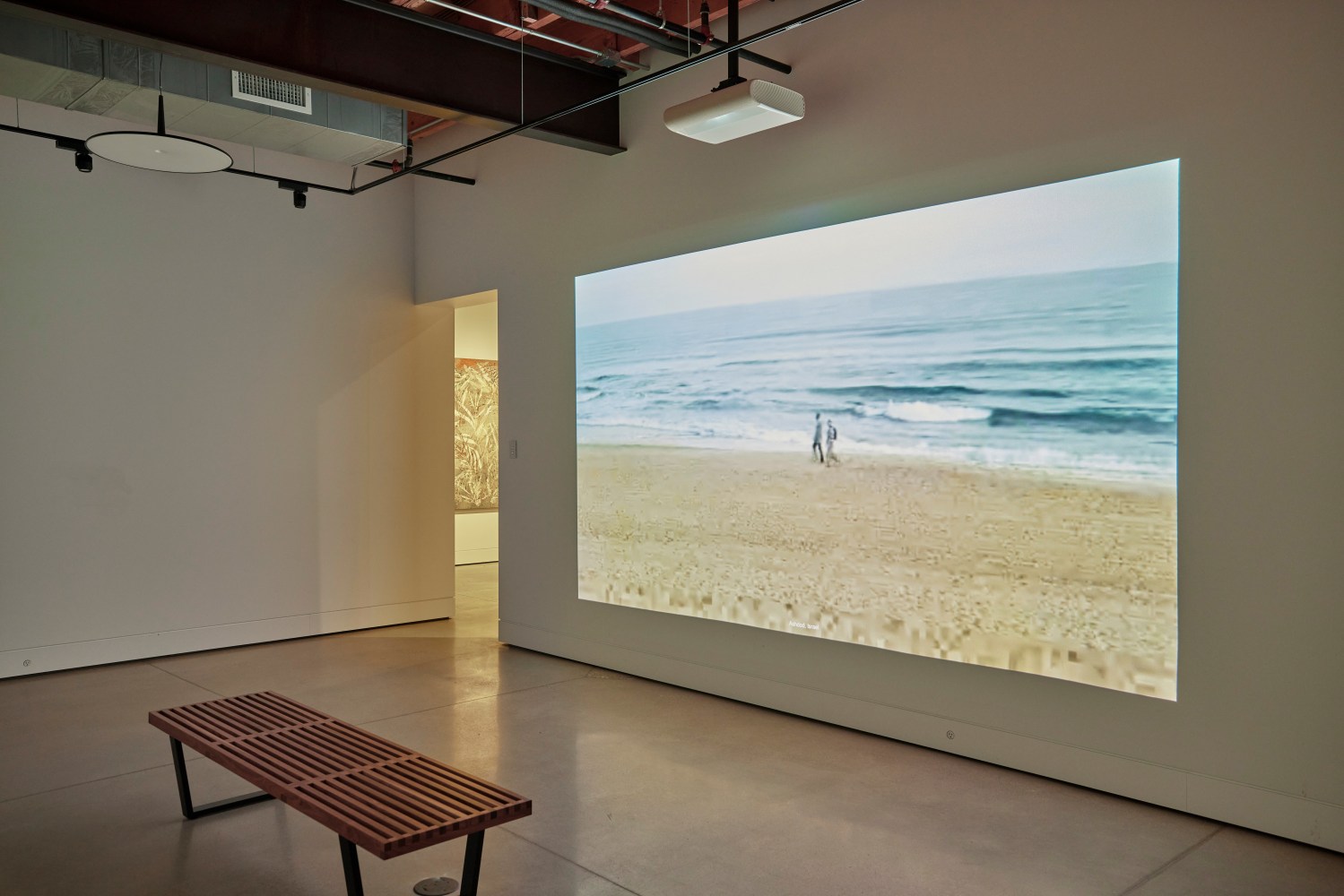 Installation view, Sam Falls, Nothing Without Nature, Cookie Factory, Denver, 2025