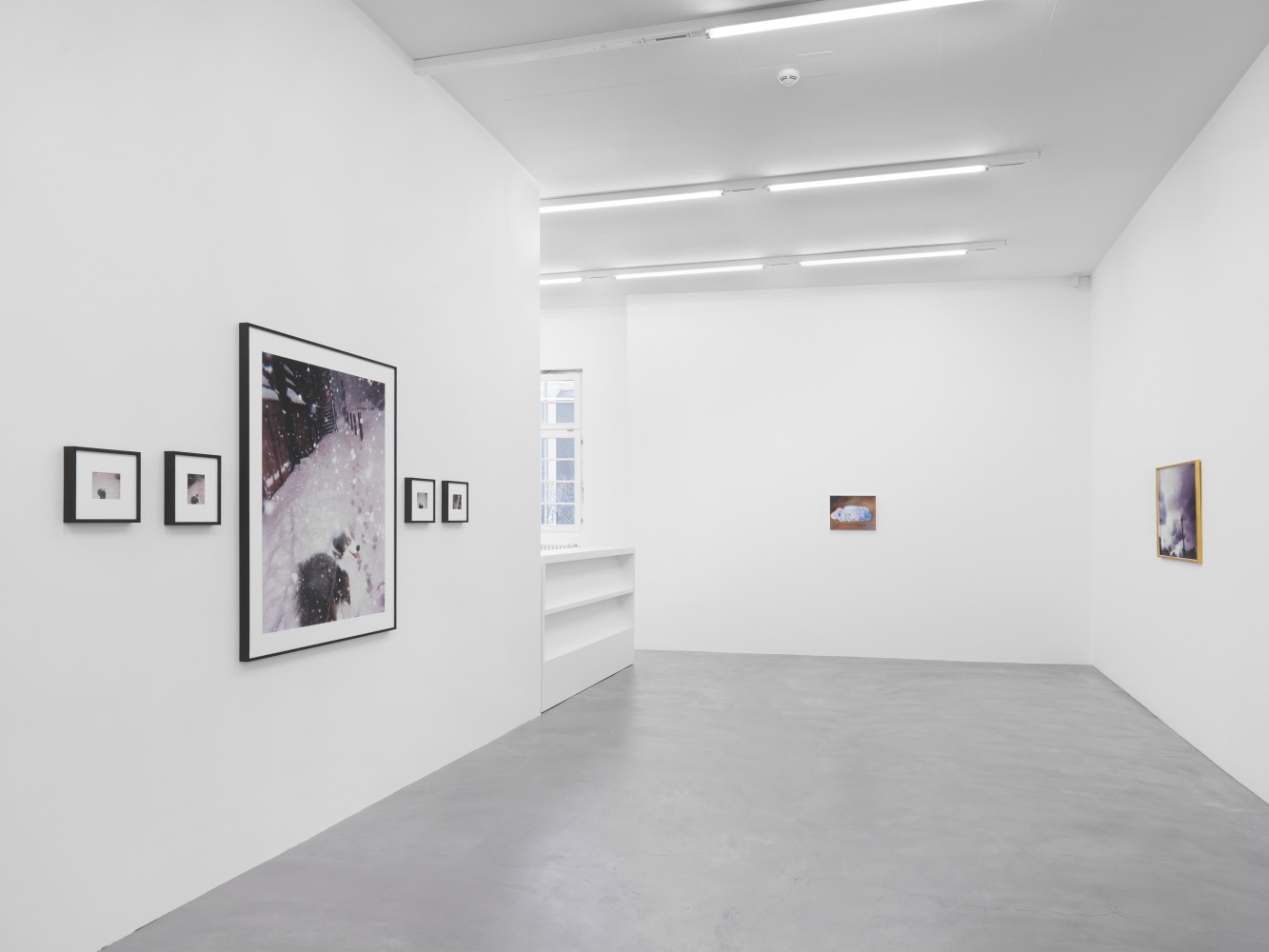 Installation view of Karen Kilimnik photography and installation exhibition