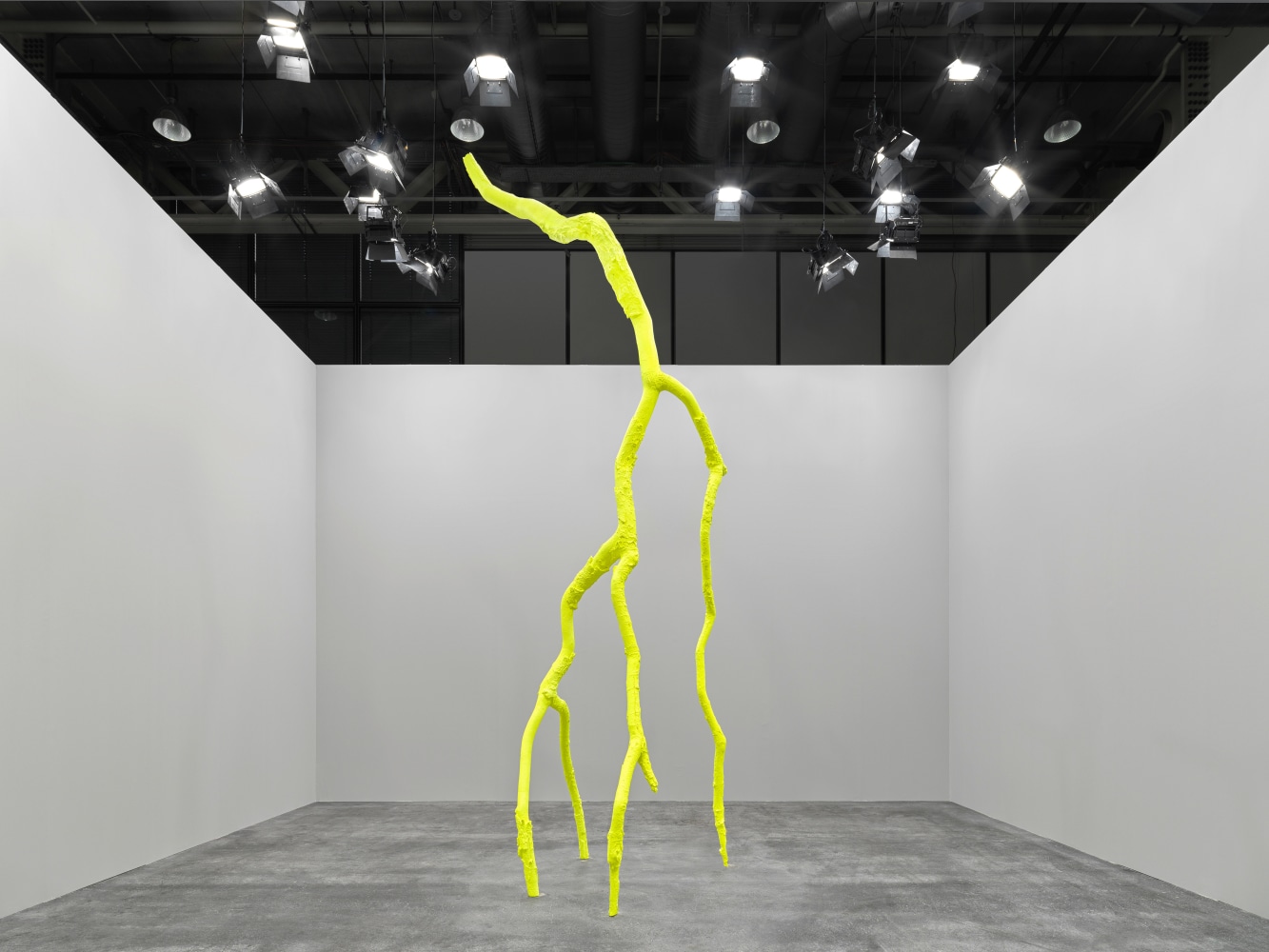 Installation view, Ugo Rondinone, luminous light, Art Basel Unlimited, Basel, 2024