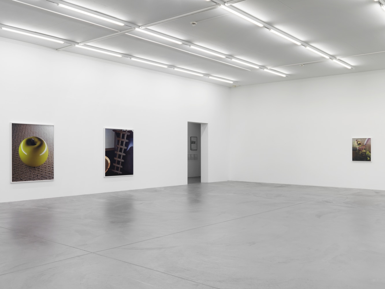 Installation view of Torbjørn Rødland photography exhibition