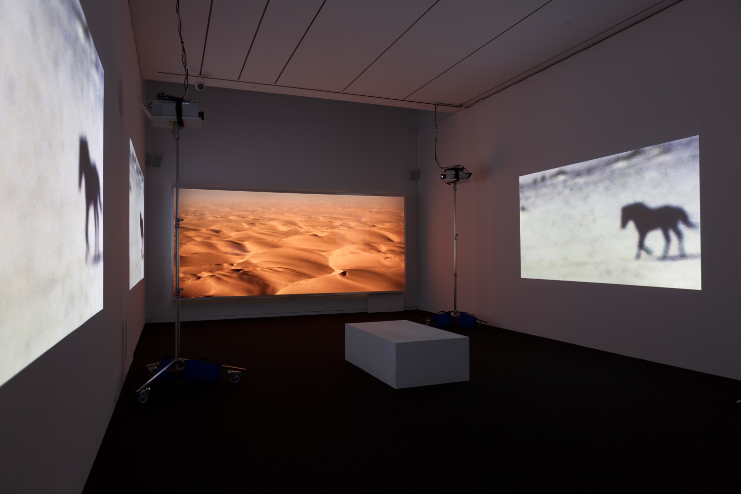 Installation view of Works by Doug Aitken