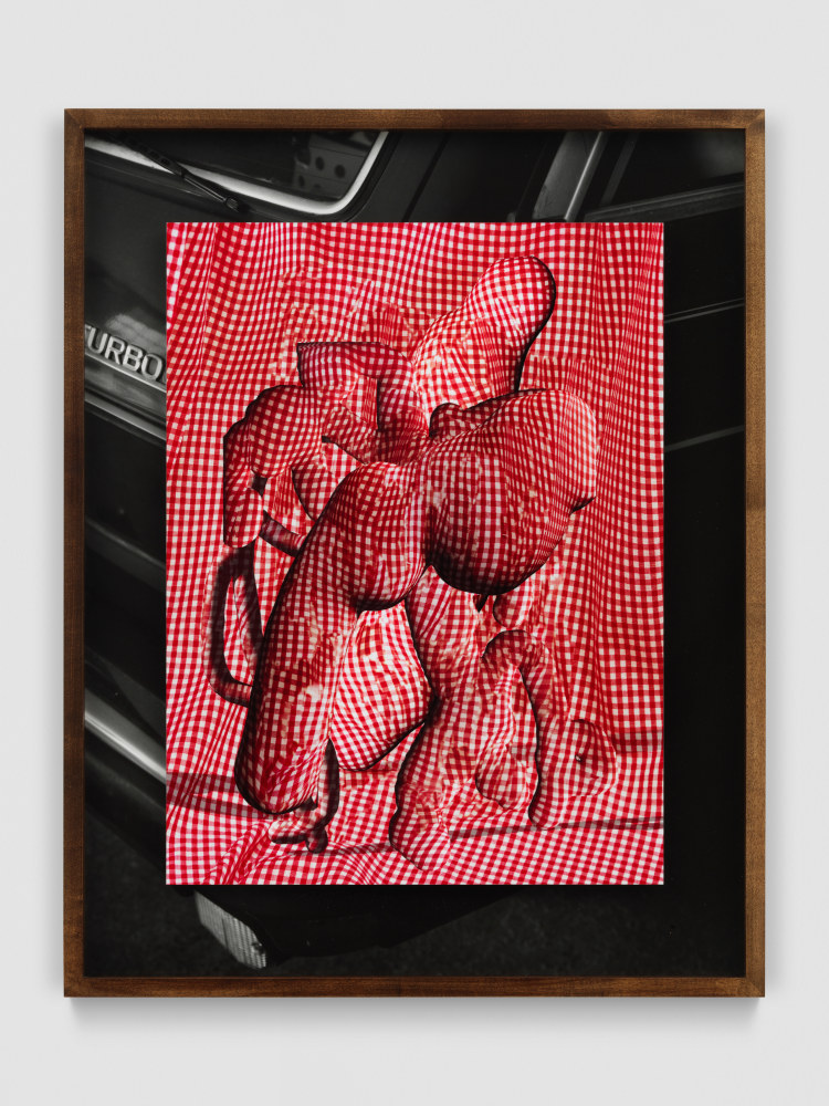 artwork by Lucas Blalock