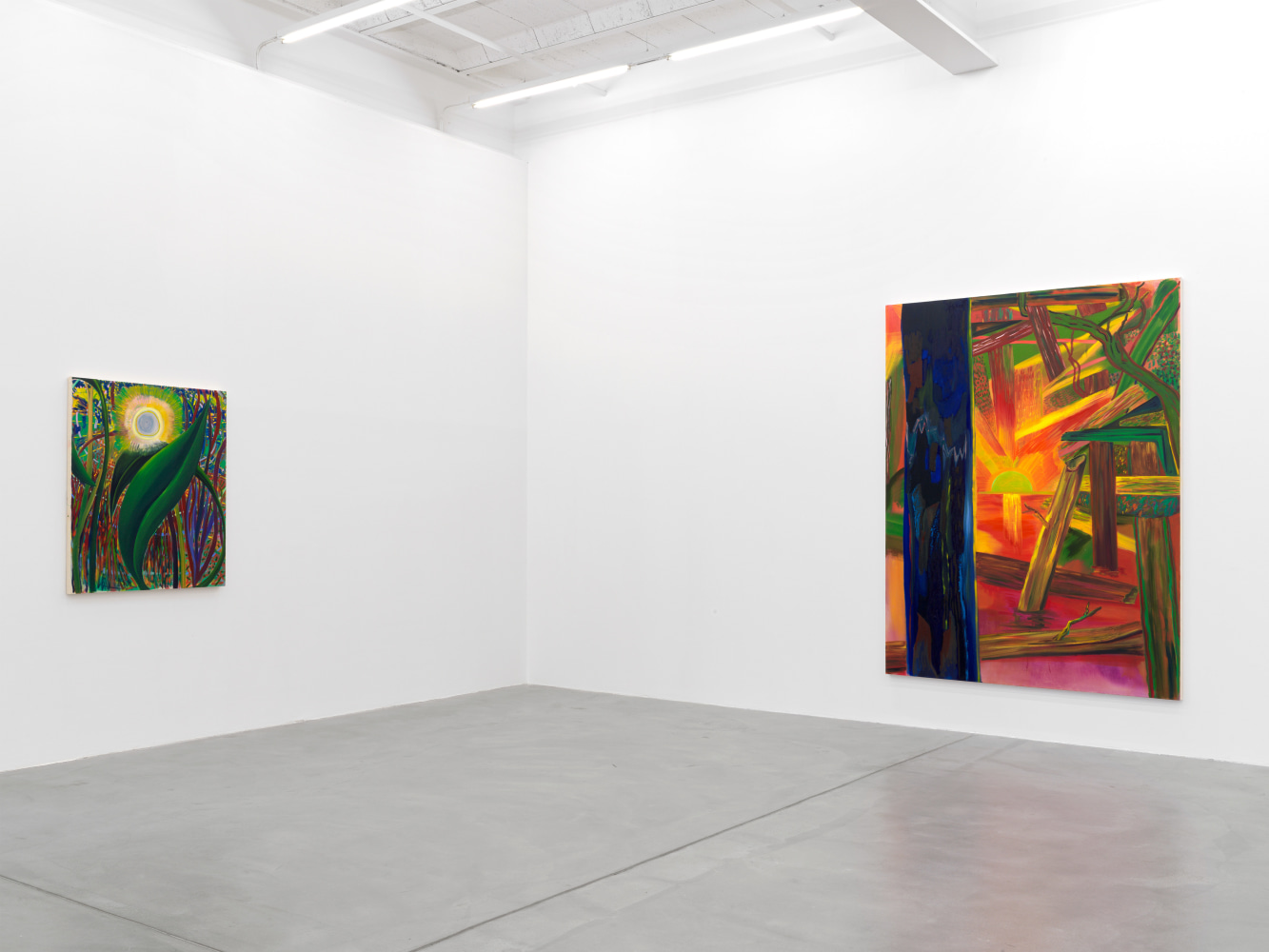 Installation view of Shara Hughes paintings