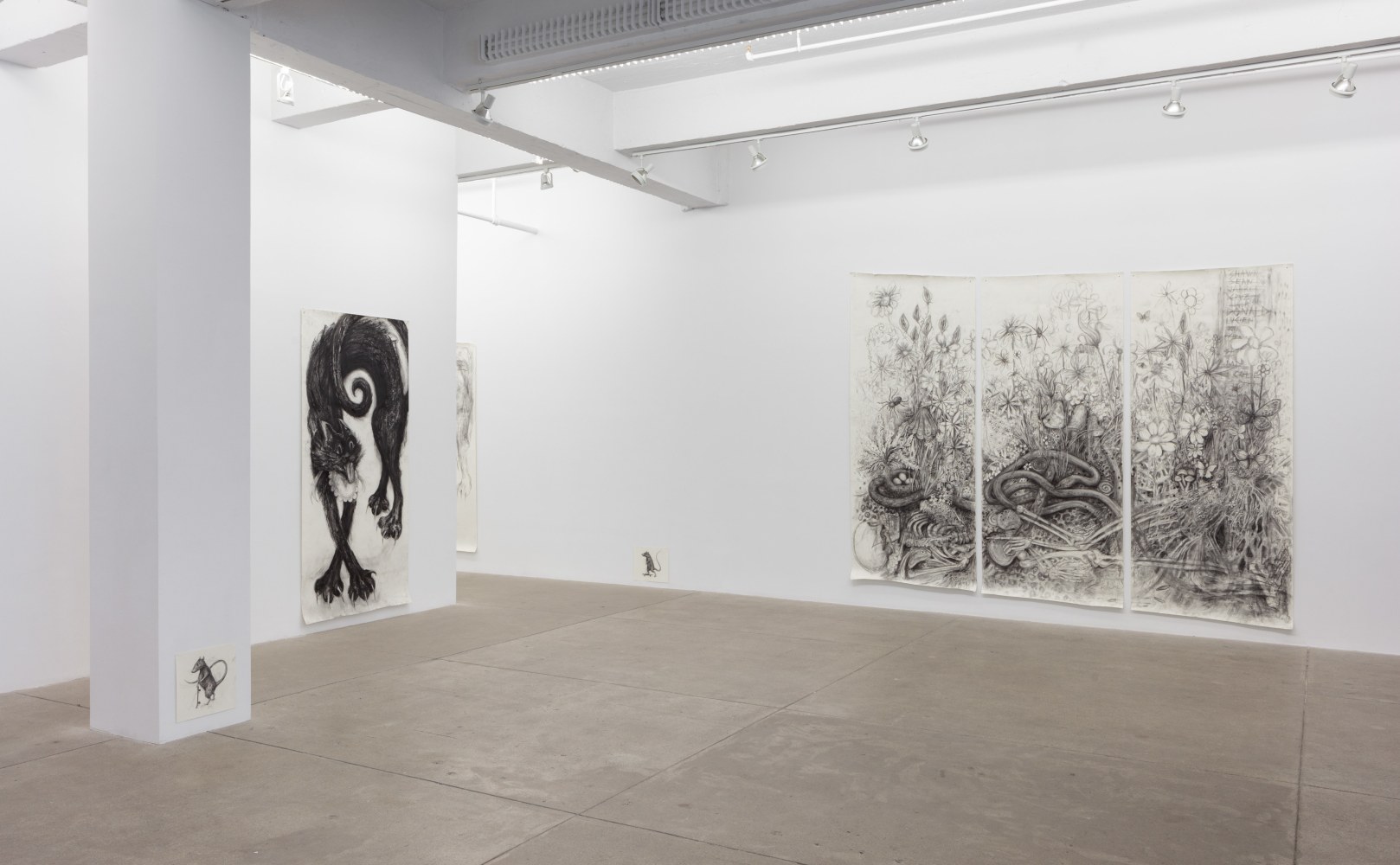 Aurel Schmidt, I Rot Before I Ripen install 1