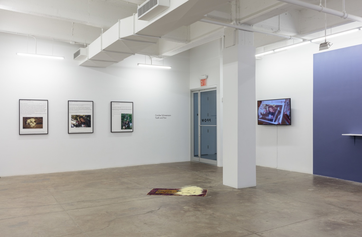 Carolee Schneeman, Tooth and Paw install 1