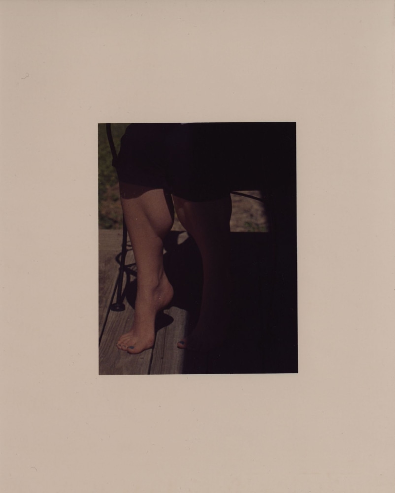 Adam Putnam, Sister, 2016-2017