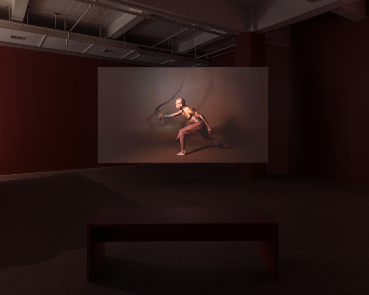 Carlos Motta, Conatus install 9