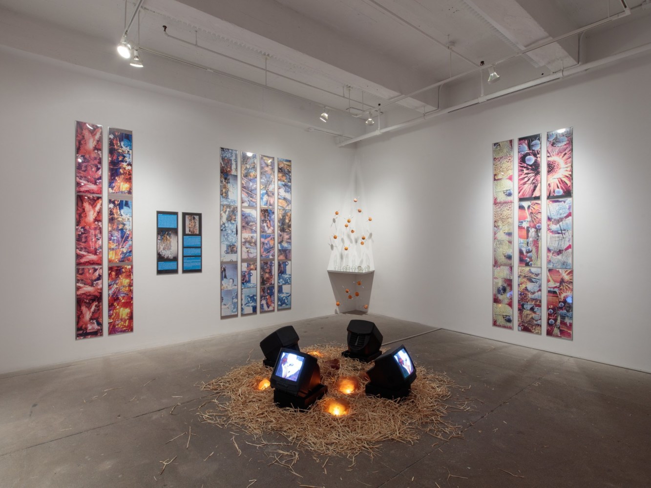 Further Evidence, install 4