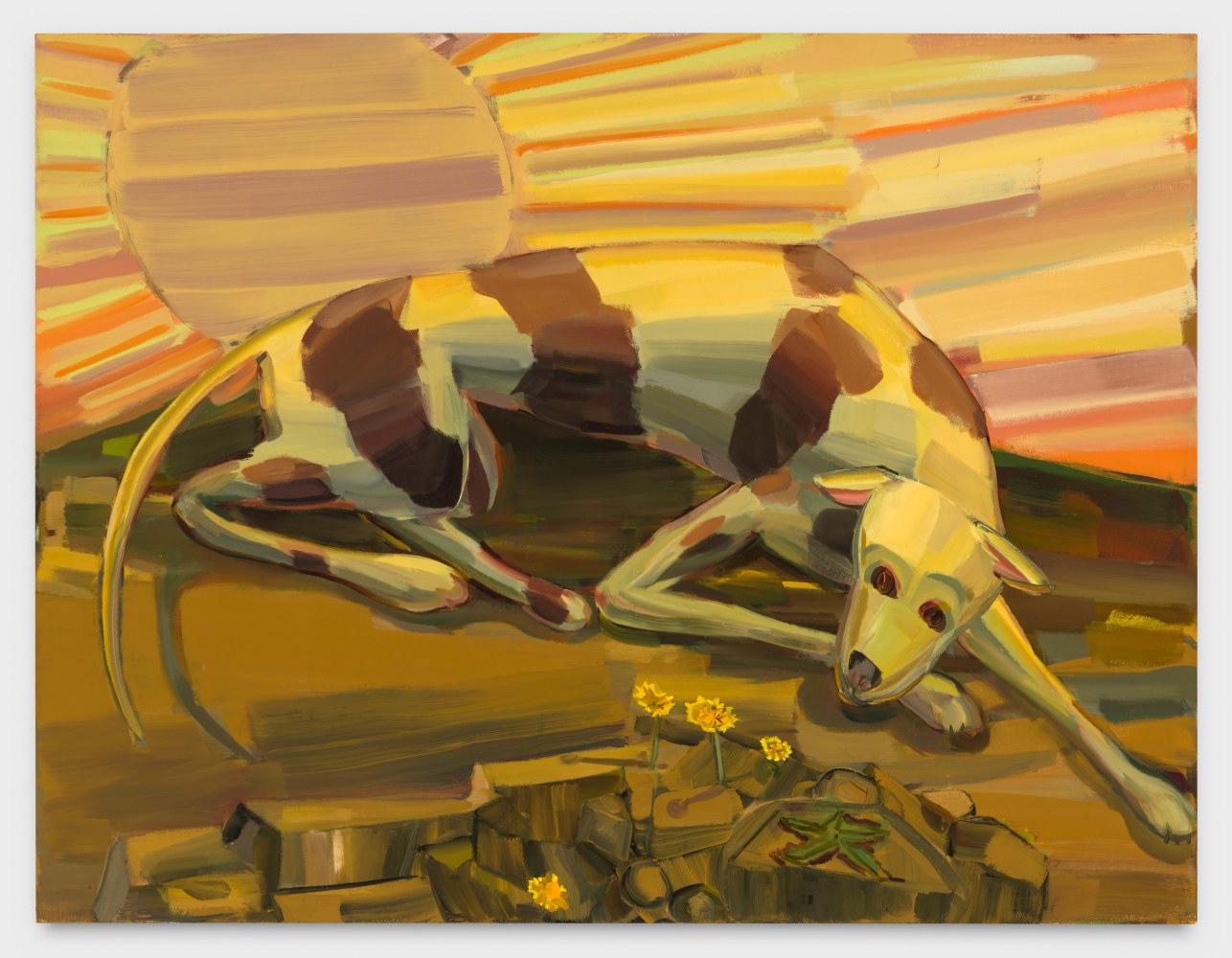 Judith Linhares, Winter Sun, 2022