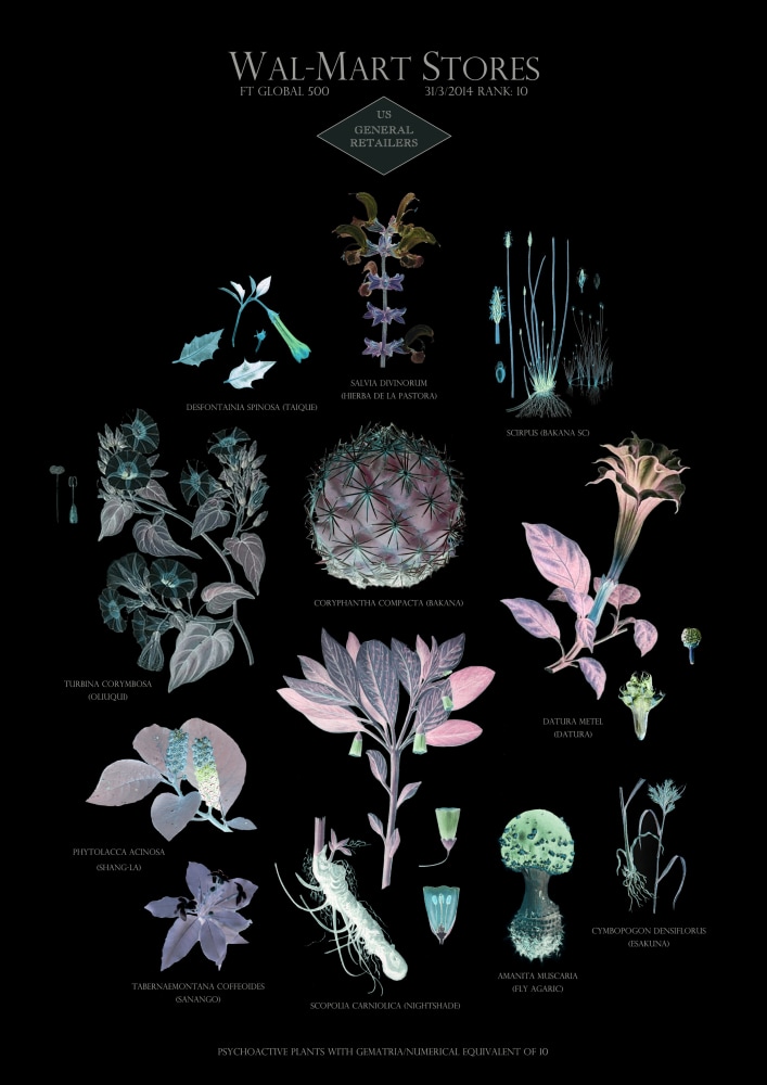 Suzanne Treister, HFT The Gardener/Botanical Prints /  Rank 10: Wal-Mart Stores - US - General retailers, 2014-15