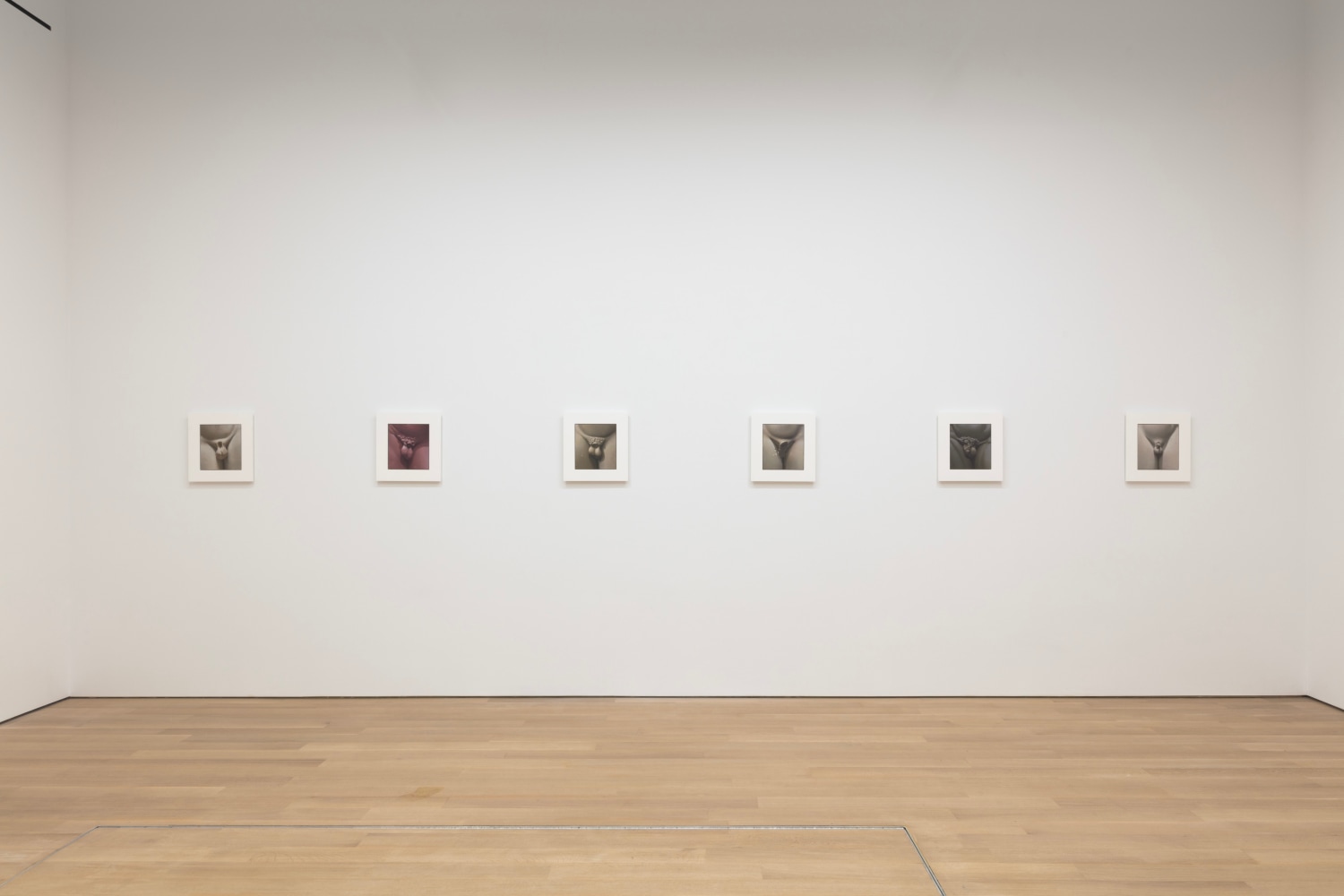 2021_RUINS_install 4