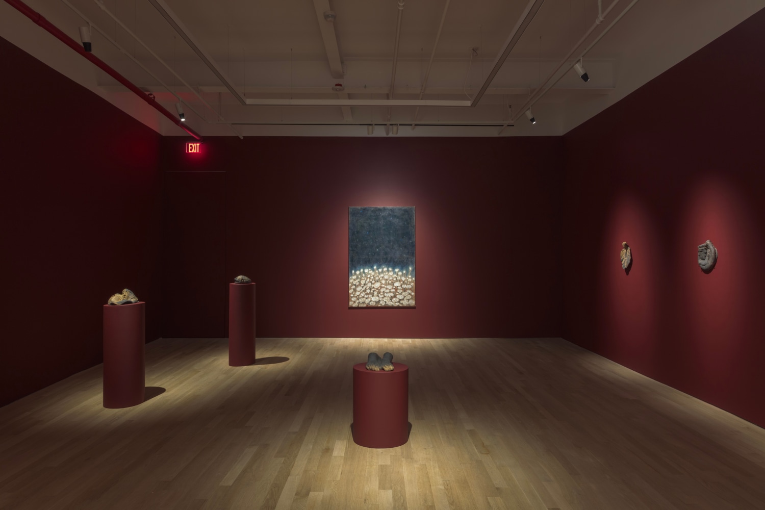 Daniel Correa Mej&iacute;a