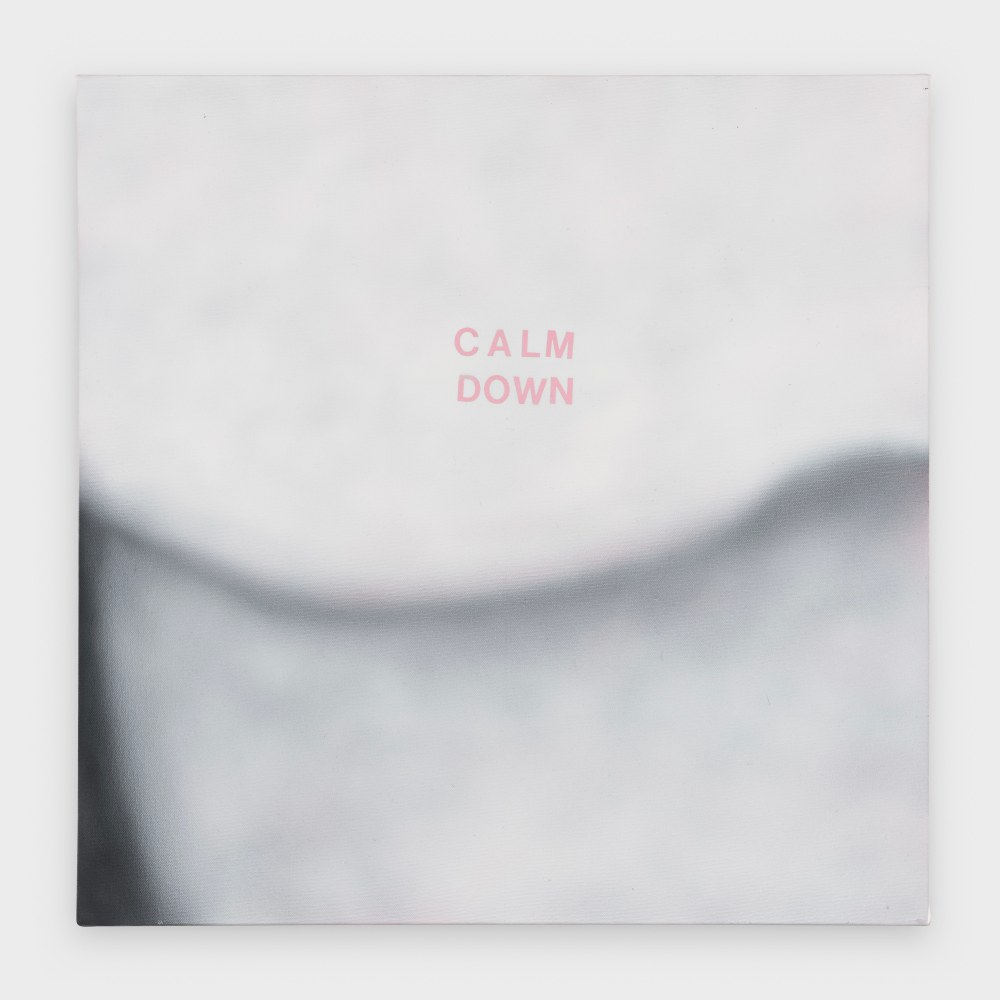 Betty Tompkins
Calm Down, 2023
acrylic on canvas
24 x 24 ins.
61 x 61 cm