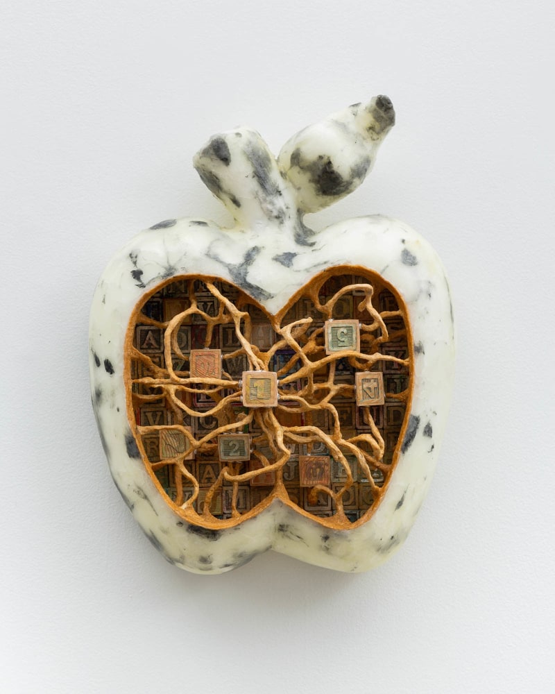 Joel Dean, Path Morphology and Core Individuation in Centrifugal Expansion Models (Ambrosia)