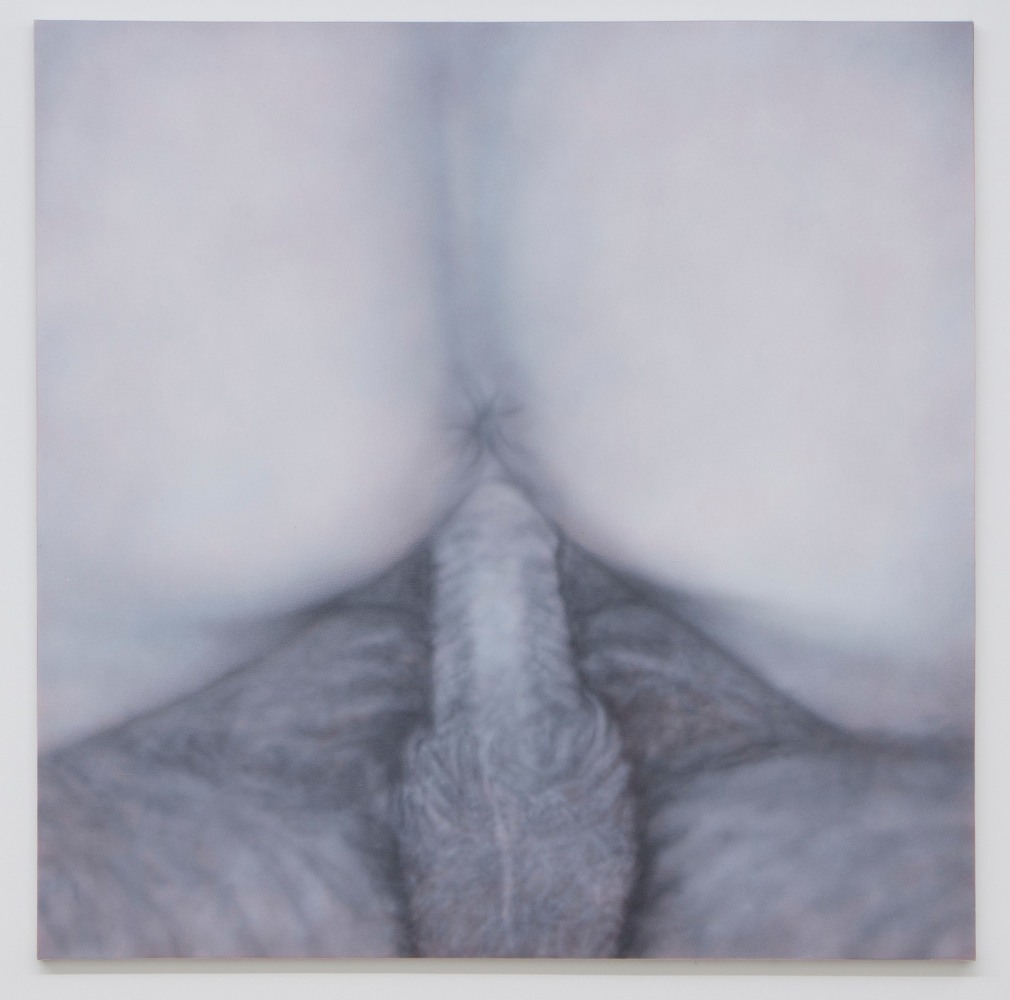 Betty Tompkins
Fuck Painting #47, 2012
acrylic on canvas
72 x 72 ins.
182.9 x 182.9 cm