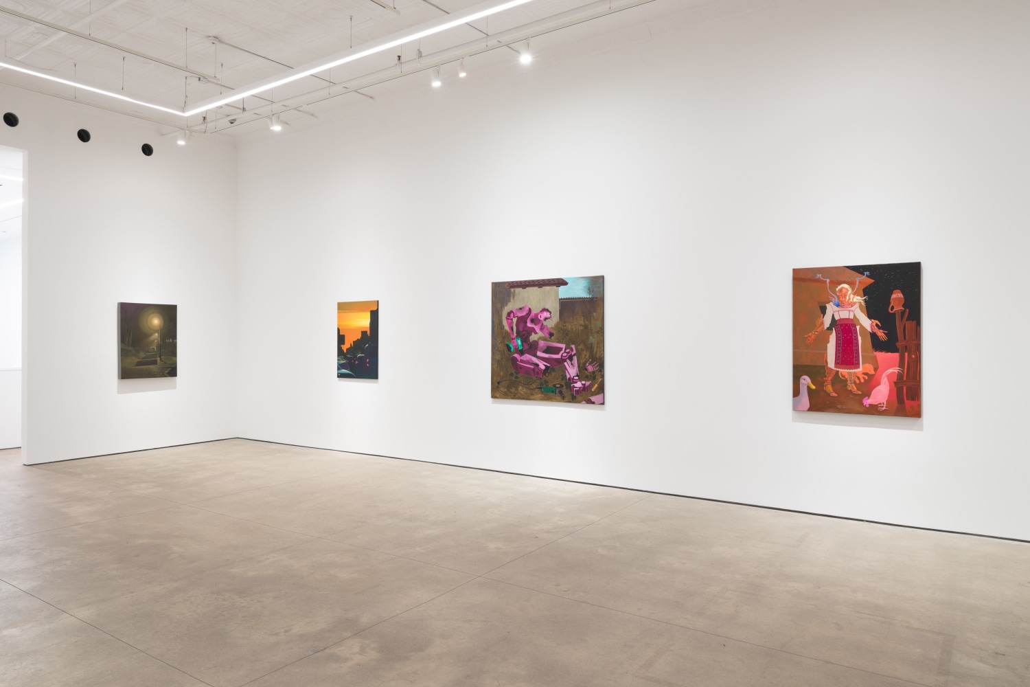 Hortensia Mi Kafchin