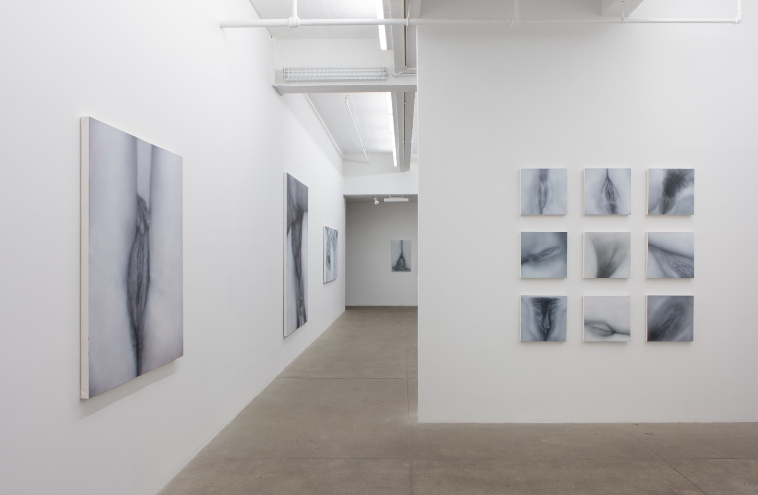 Betty Tompkins, Virgins, install 5