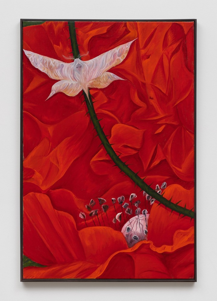 Srijon Chowdhury
Moth on a Poppy, 2021
Oil on linen
36 x 24 ins.
91.44 x 60.96 cm
