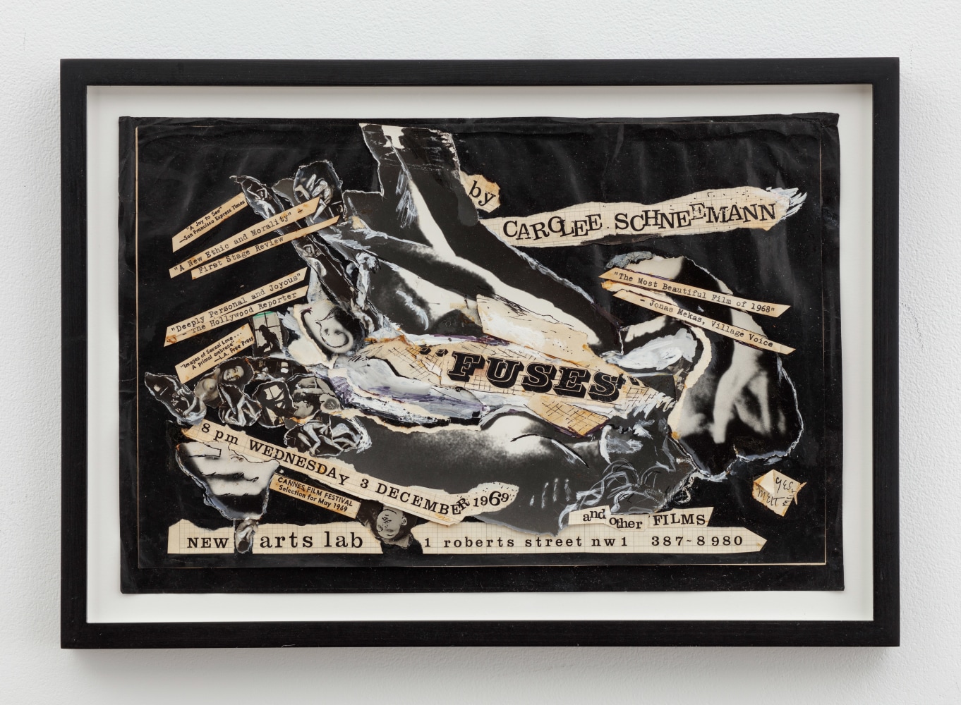 Carolee Schneemann, Fuses