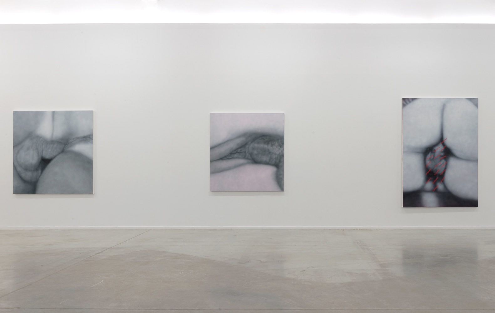 Installation View, Betty Tompkins: Raw Material, MO.CO Montpellier Contemporain, France. Photo by Marc Domage