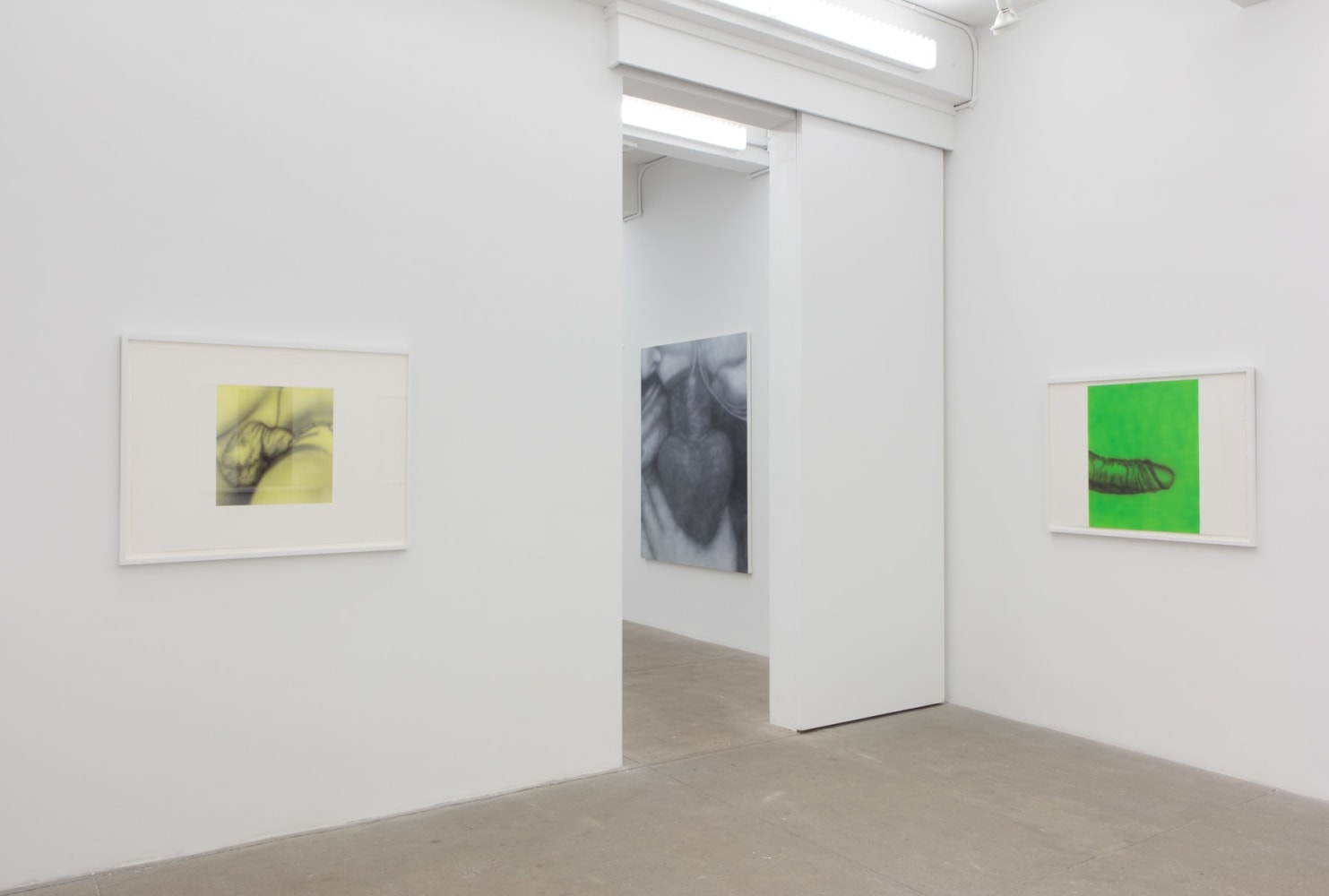 Betty Tompkins, Virgins, install 8