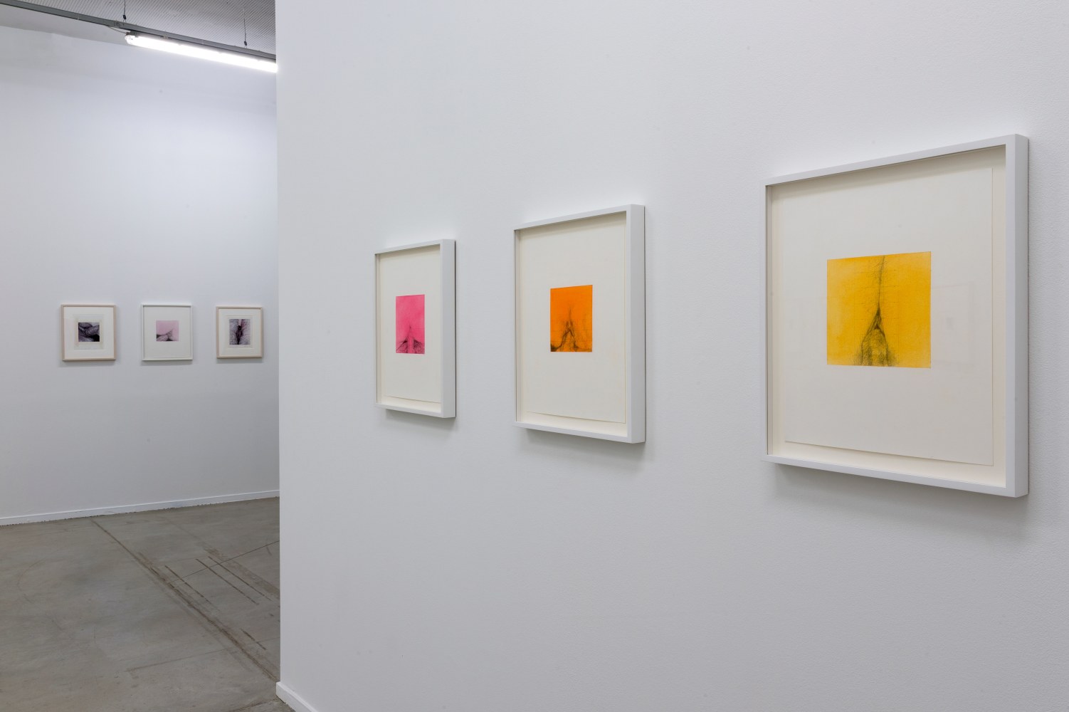 Installation View, Betty Tompkins: Raw Material, MO.CO Montpellier Contemporain, France. Photo by Marc Domage