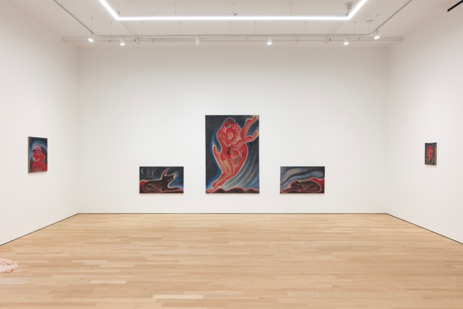 Daniel Correa Mej&iacute;a