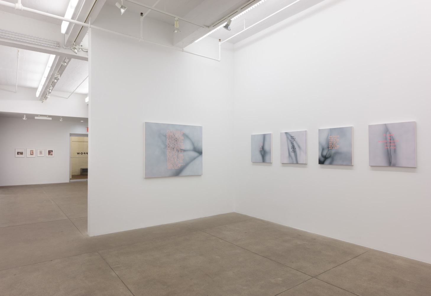 Betty Tompkins, Will She Ever Shut Up? install 9