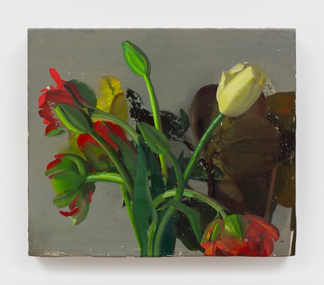 Phoebe Helander
Tulips over hellebores, 2025
oil on wood
12 3/4 x 15 x 1 3/4 ins.
32.4 x 38.1 x 4.4 cm