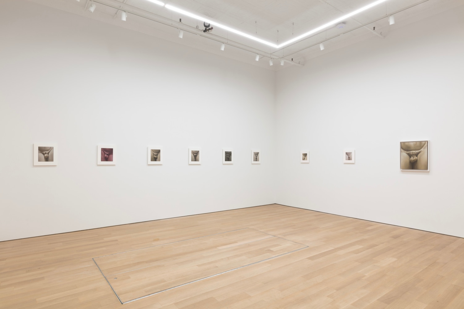 2021_RUINS_install 2