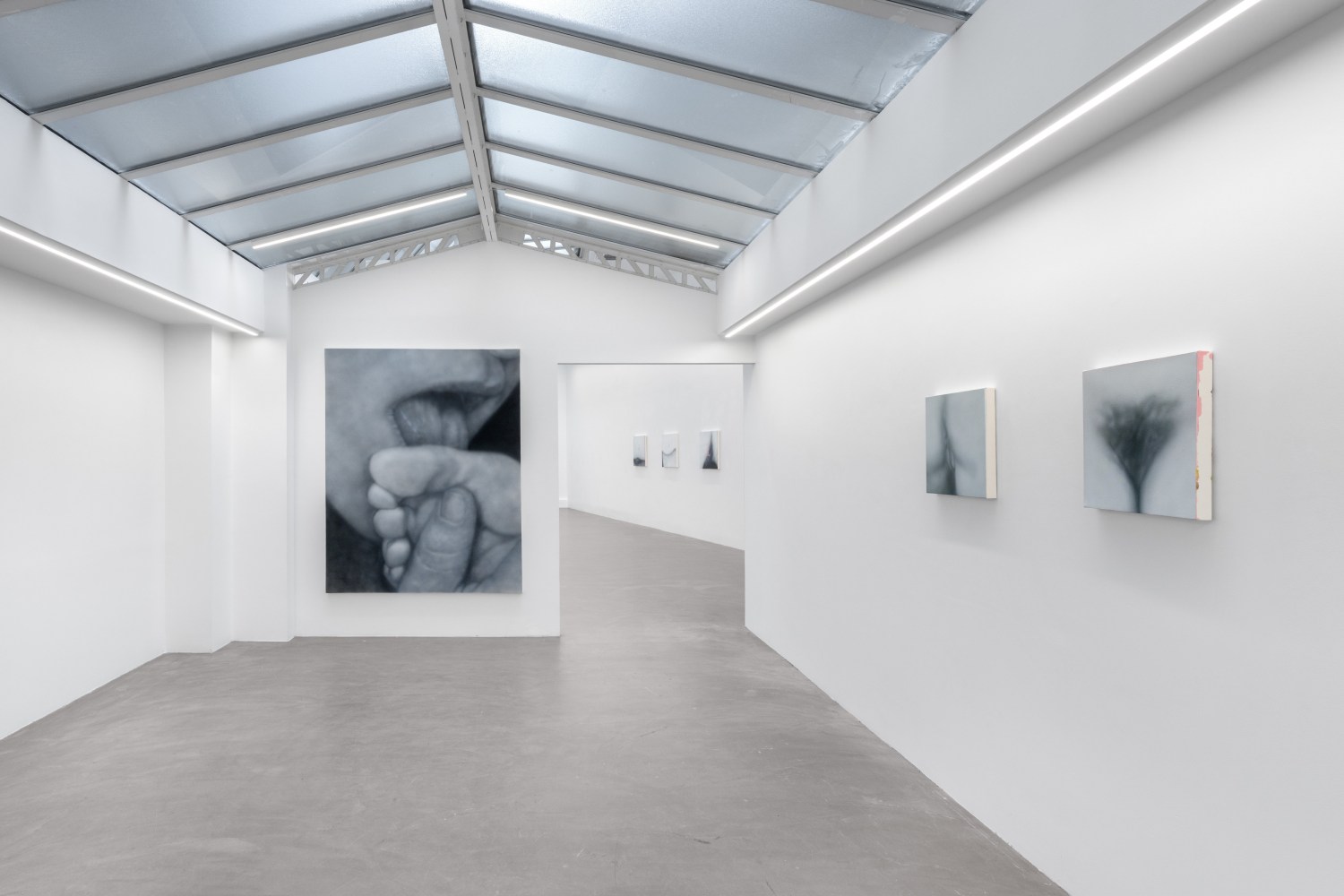 Sex Paintings (Installation View) Bremond Capela, Paris, France, April 26 &amp;mdash; May 31, 2025. Photo: Nicolas Brasseur.