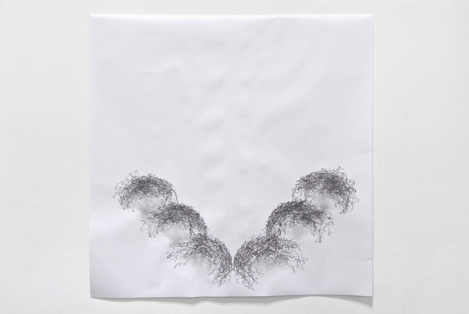 Tony Orrico​​​​​​​, Penwald: 5: wrists on a walk (WhyNot!, W139, Amsterdam, NL), 2011