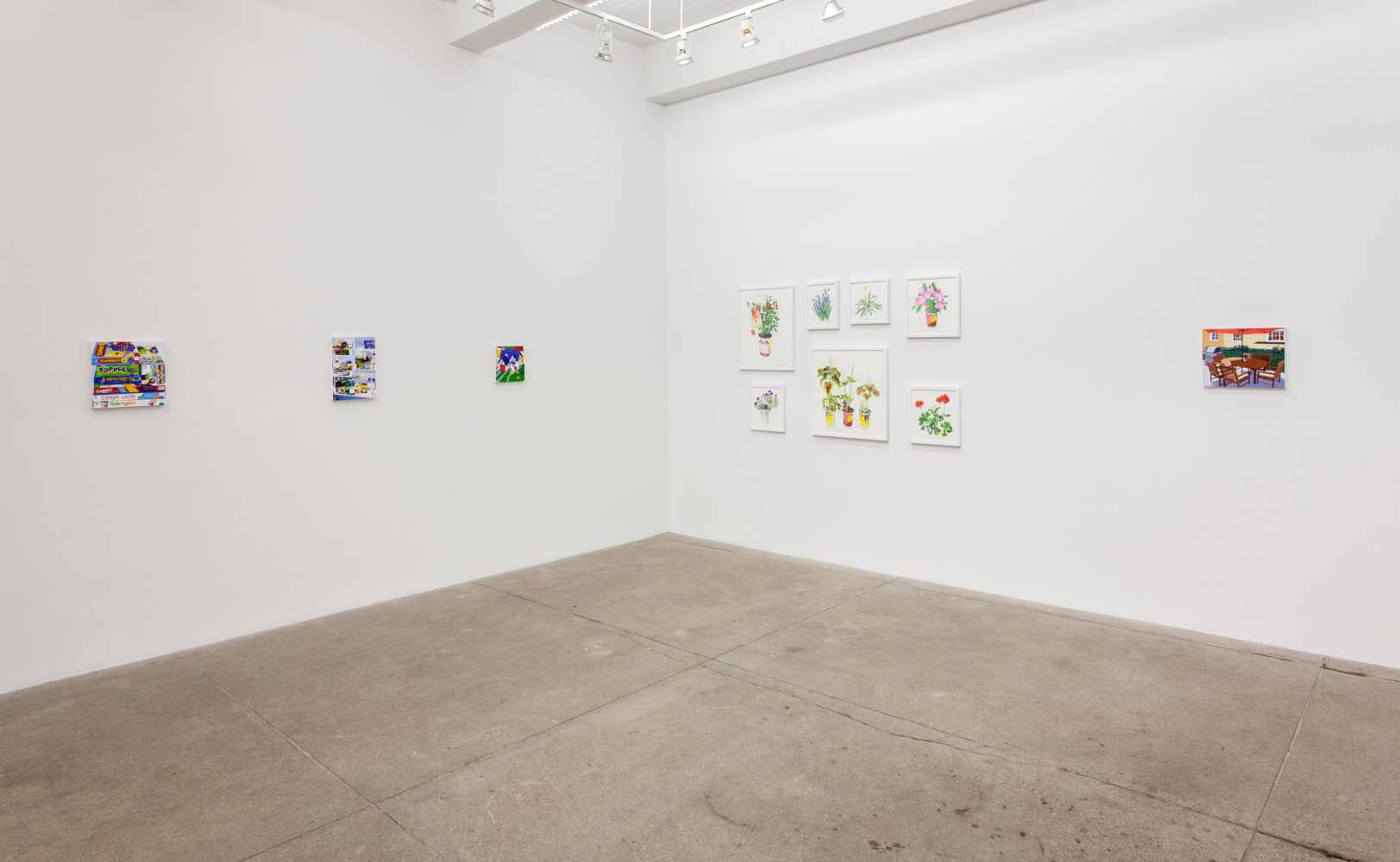 Bloomfield, install 3