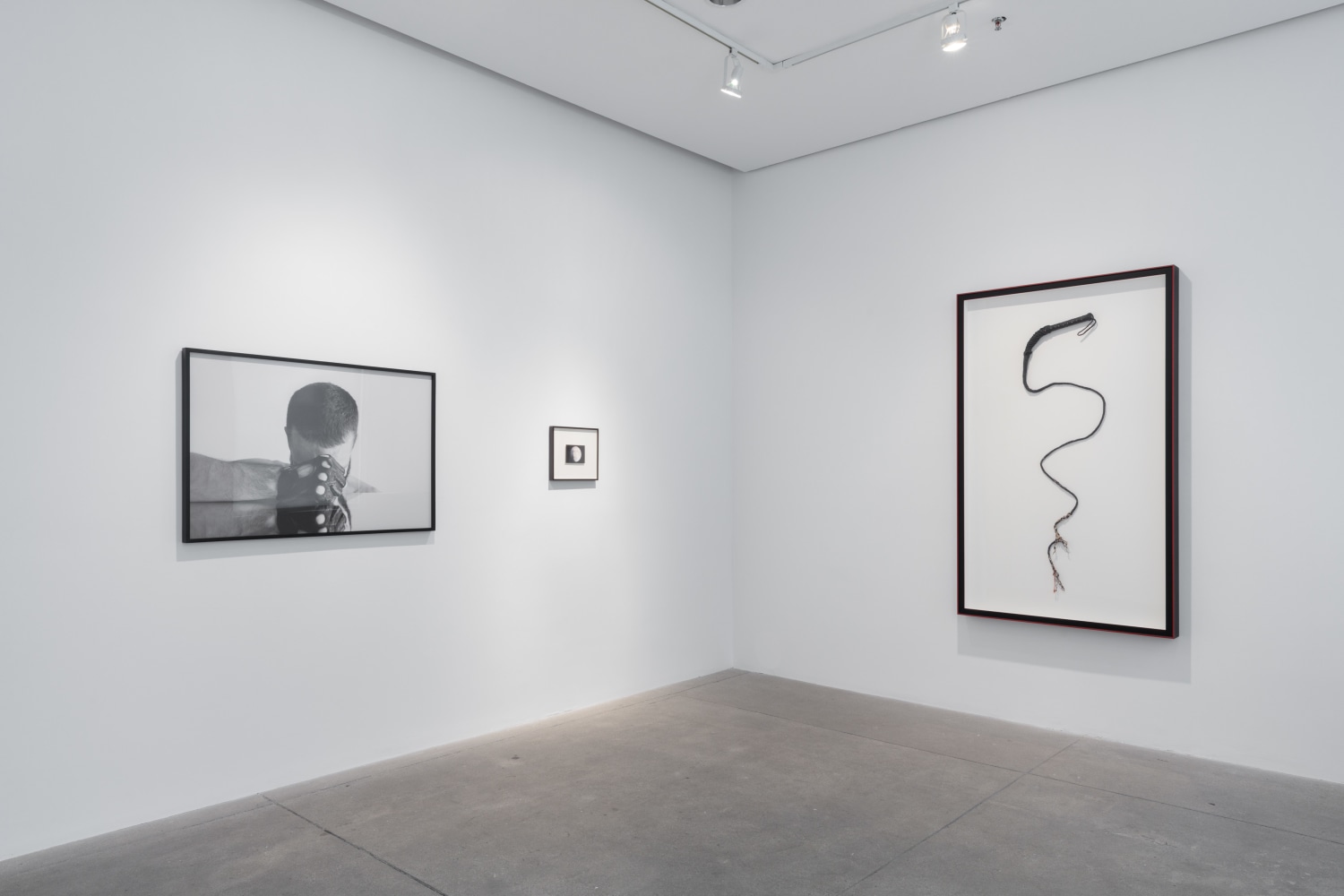 Carlos Motta, Conatus install 2