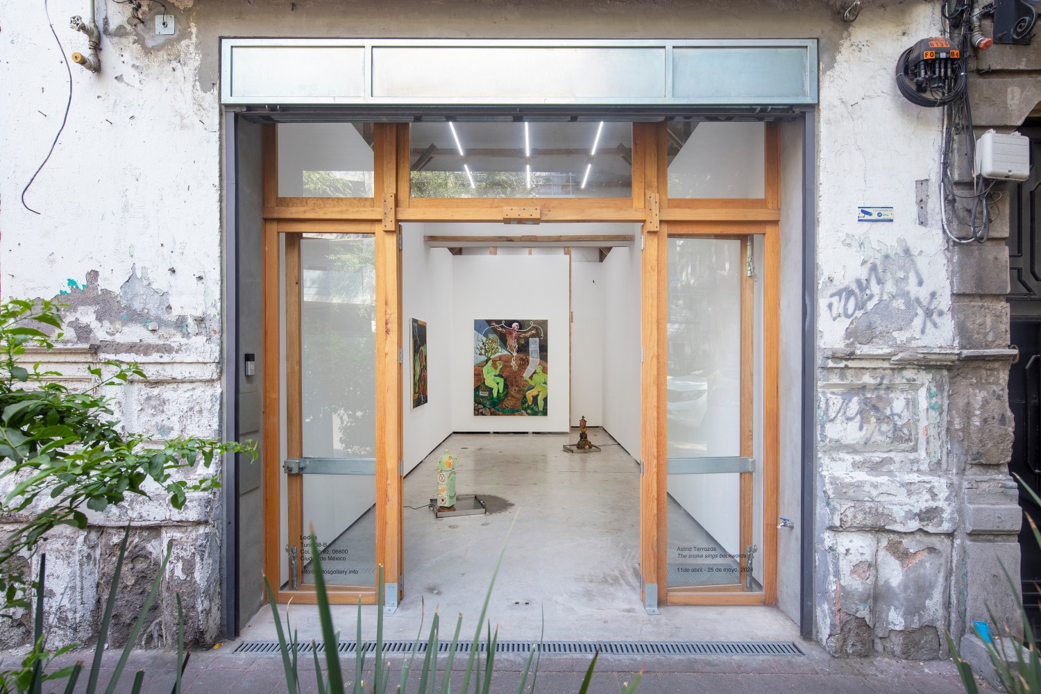 The snake sings backwards (Installation View) Lodos Gallery, Condo Mexico City, Mexico, April 11 &amp;ndash; May 25, 2024. Photo: Ramiro Chaves.