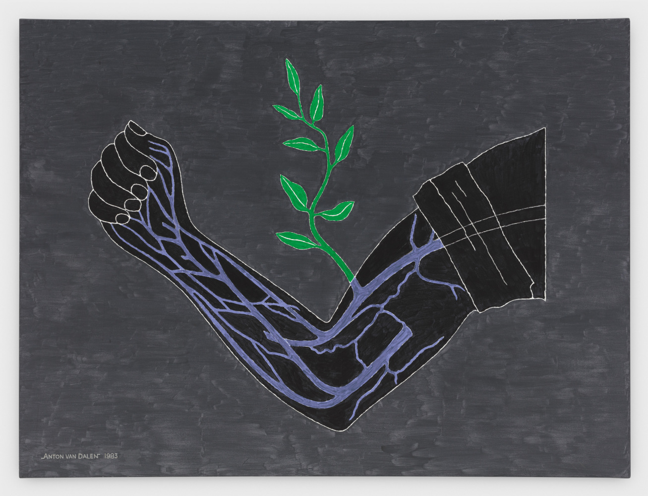 Anton van Dalen, Branch Drafted onto Arm