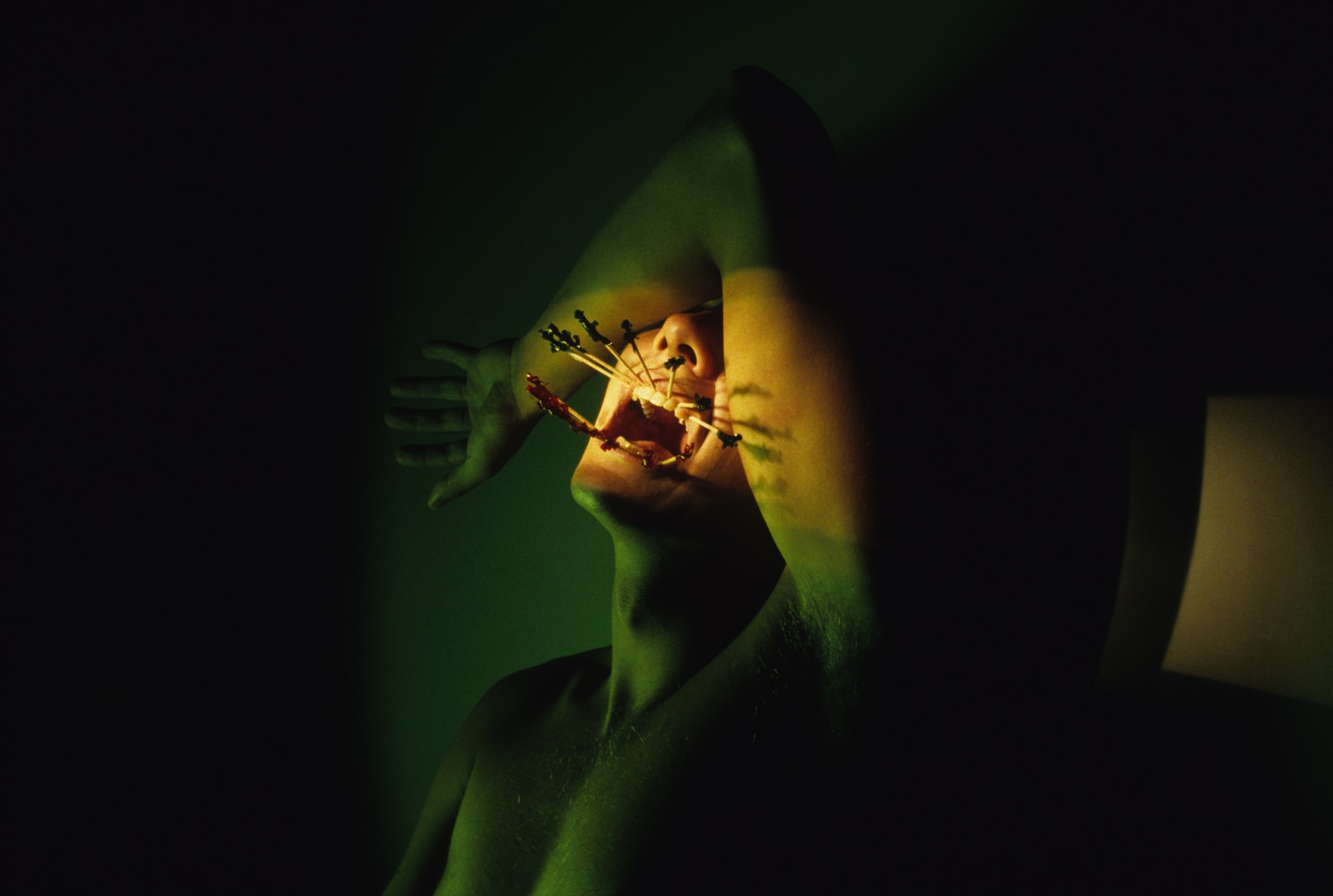 Jimmy DeSana, Party Picks, 1981